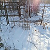 Николаев Фома Васильевич