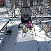 Шумко Александр Тимофеевич