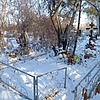 Дворник Галина Дмитриевна