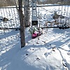 e20772f3-5ce0-4816-866b-fc196e3f07a3 Ковеза Иван Фёдорович