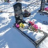 Алфеева Валентина Владимировна