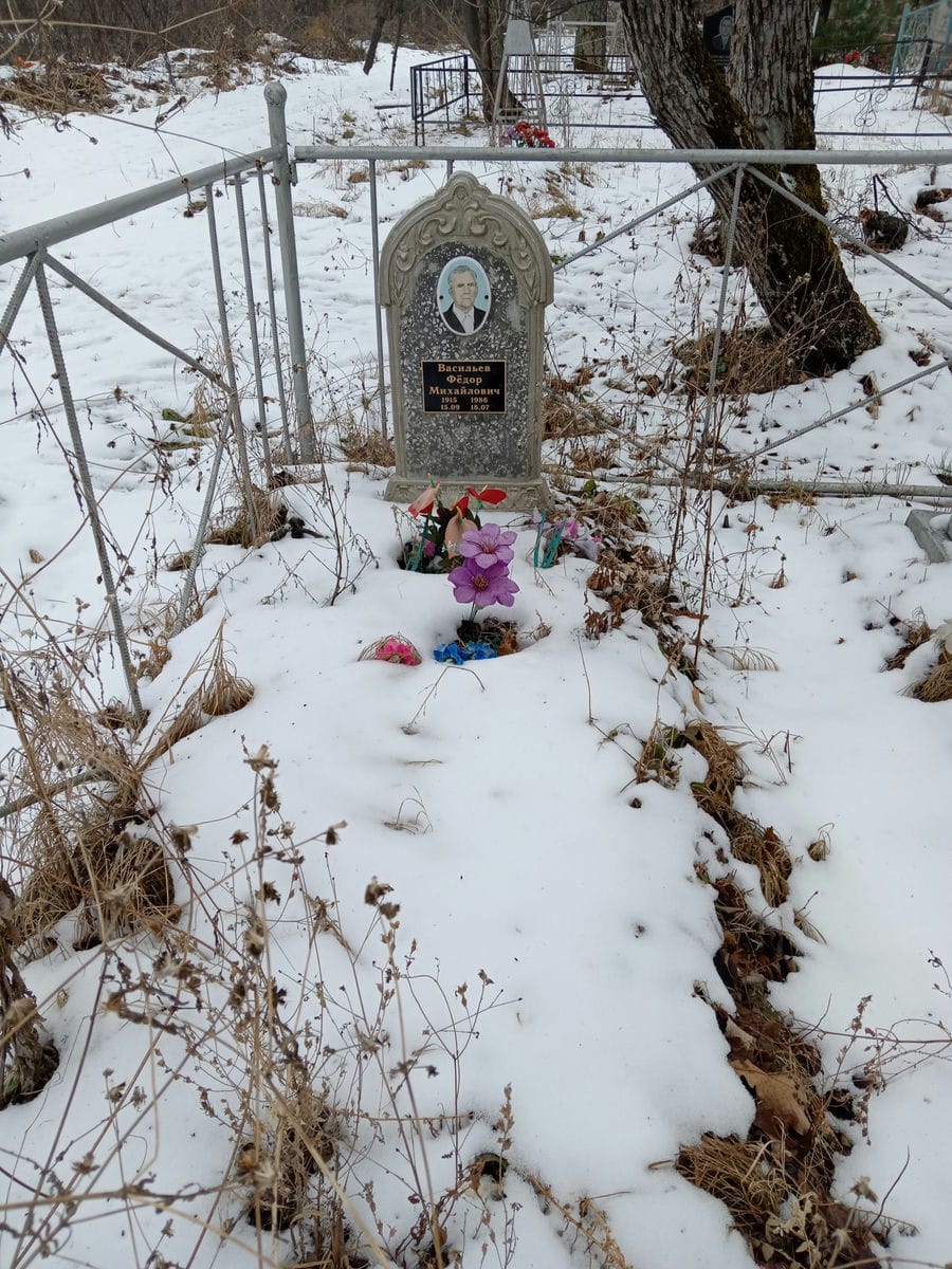 e319ccfb-3e11-46a5-b4a6-a6030eaf29b6 Васильев Федор Михайлович