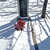 Дурнова Эмилия Петровна