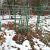 Сокол Федор Макисмович