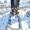Литвиненко Антонина Макаровна