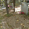 Залозная Софья Семеновна