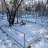 Дворник Галина Дмитриевна