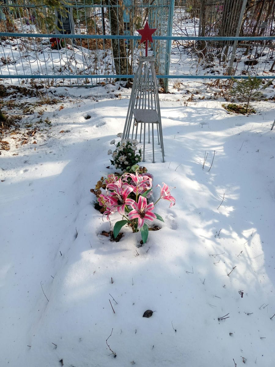 Никулин Сережа Неизвестно