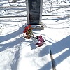 Дурнов Алексей Александрович
