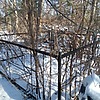 Габелко Анастасия Владимировна