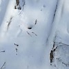 Неизвестно Неизвестно Неизвестно