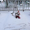 Могильная Анастасия Петровна