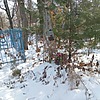 Кисель Иван Иванович