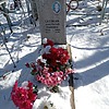 Сазонова Анастасия Павловна