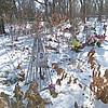 Черных Сергей Иванович