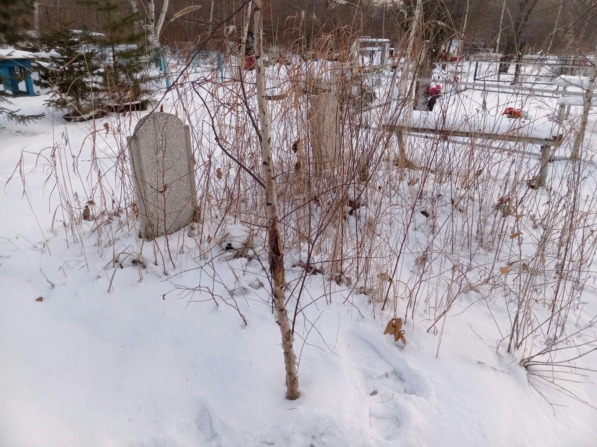 ed7e7d2d-3496-4ef6-a2c6-a00be2d9a5e2 Неизвестно Неизвестно Неизвестно