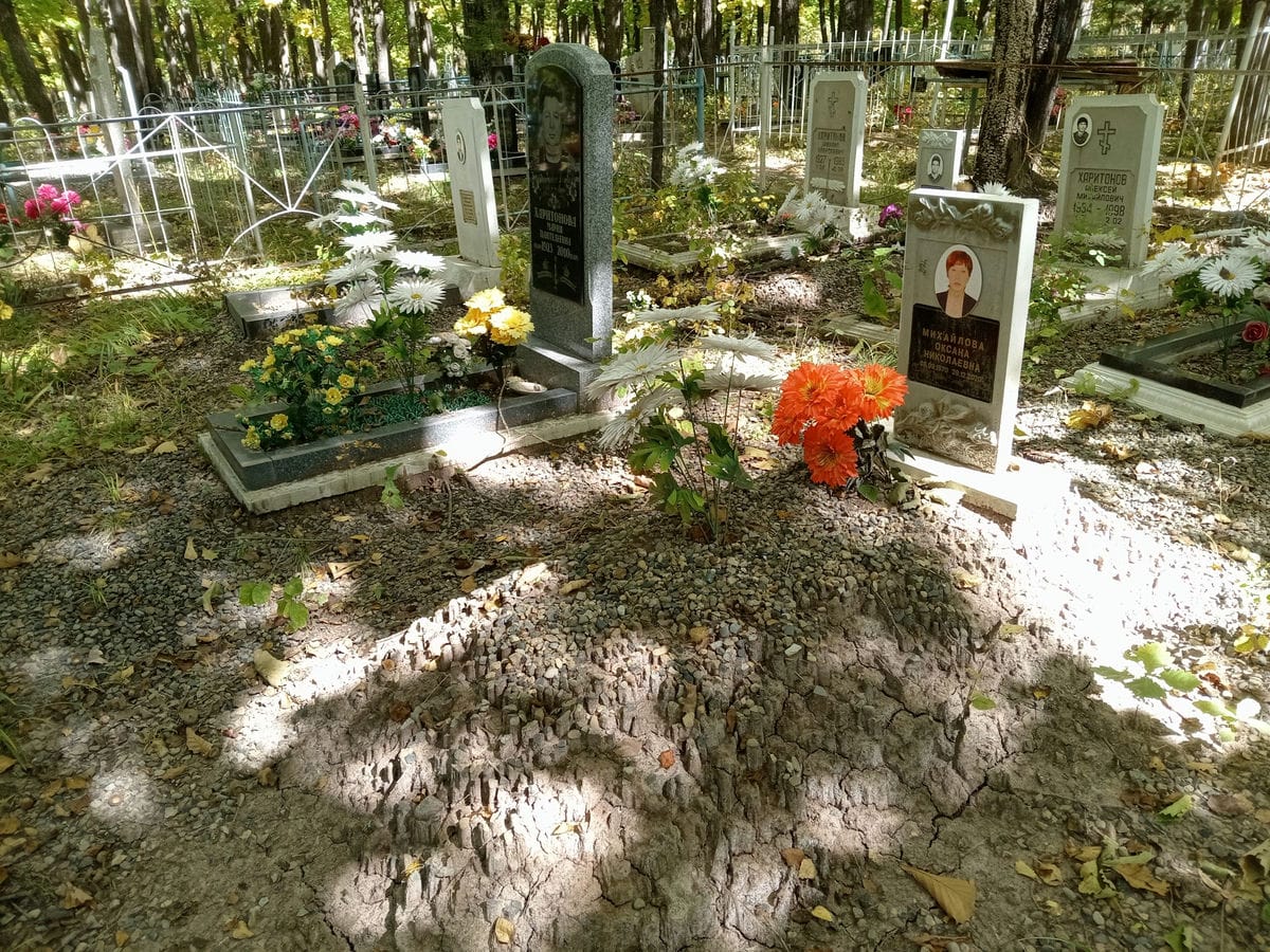 Михайлова Оксана Николаевна