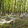 Игнатов Петр Васильевич