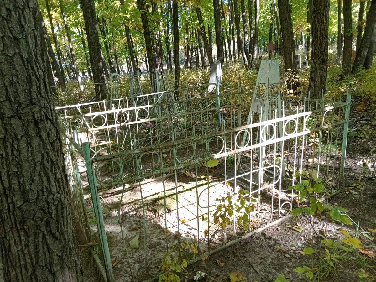 Мишин Неизвестно Неизвестно