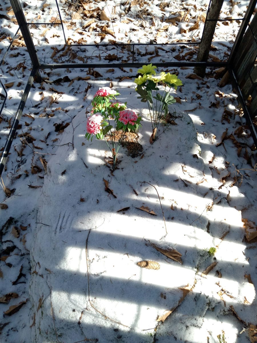 f1bb5b01-1d33-46c8-b3a2-7d3e9ae192c3 Неизвестно Неизвестно Неизвестно