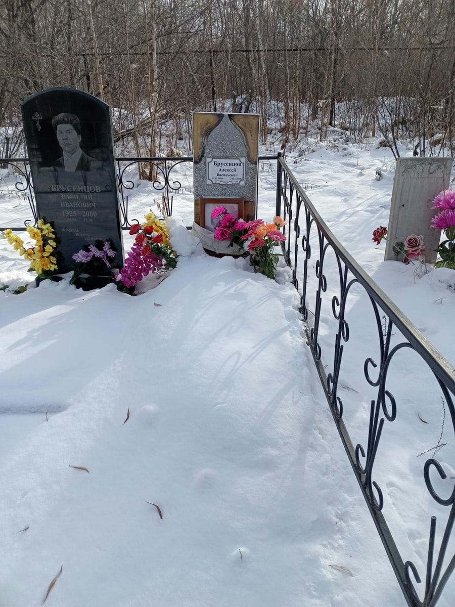 f22310e6-7cc9-4e46-97c0-f9105d02fa3d Бруснецов Алексей Васильевич