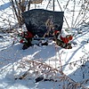 Карпова Вера Ивановна