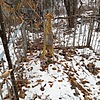 Кудлай Вячеслав Михайлович