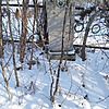Мосолов Николай Трофимович