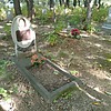 Гиневский Кузьма Евстафьевич