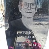 Севрюк Анатолий Федорович