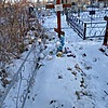 Дворник Галина Дмитриевна