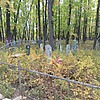 Зарецкая Наталья Васильевна