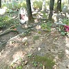 Гиневский Кузьма Евстафьевич