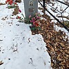 Корбаш Федор Моисеевич