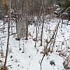 Беляков Николай Степанович