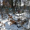 Ценева Ксения Ивановна