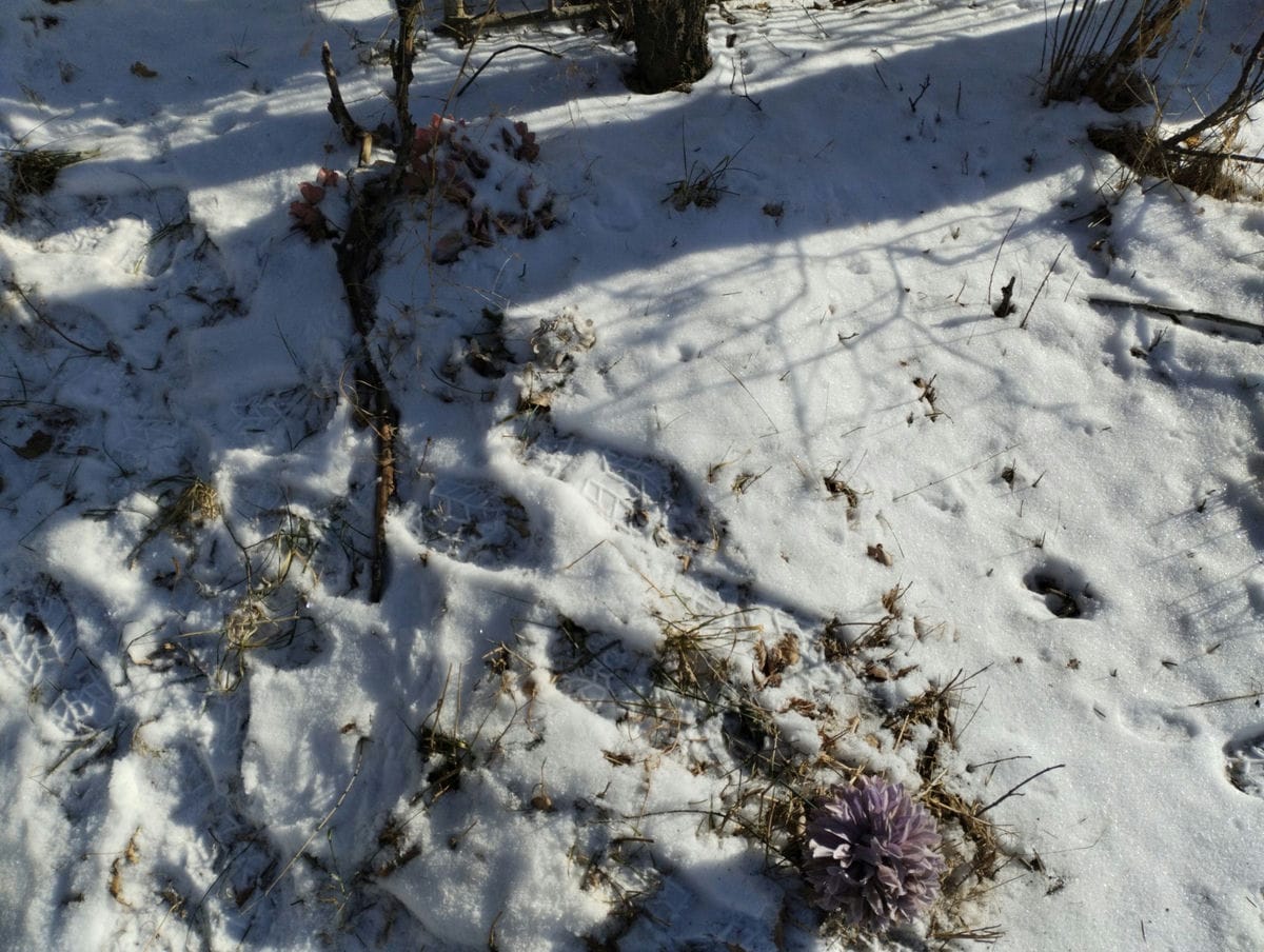 00b6bd35-6a21-48dd-a043-b6ebc1c1fade Неизвестно Неизвестно Неизвестно