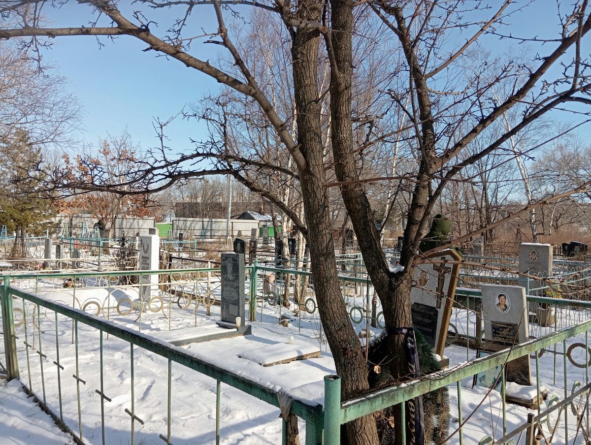 01413c2f-d148-4a1f-8341-18f2c641e811 Матвеева Вера Федоровна