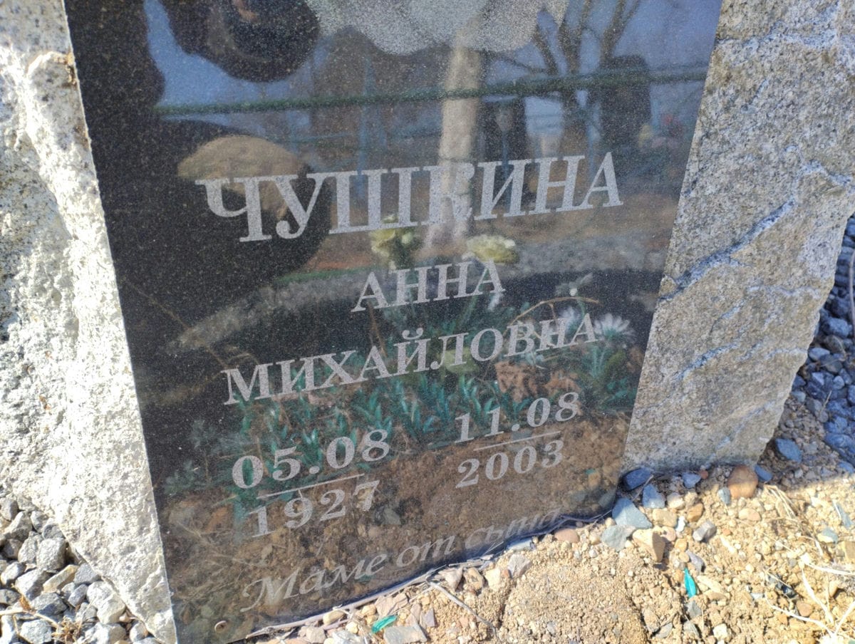 Чушкина Анна Михайловна