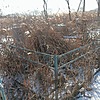 Неизвестно Павел Сергеевич