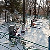 Ильченко Харитина Петровна