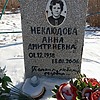 Неклюдова Анна Дмитриевна