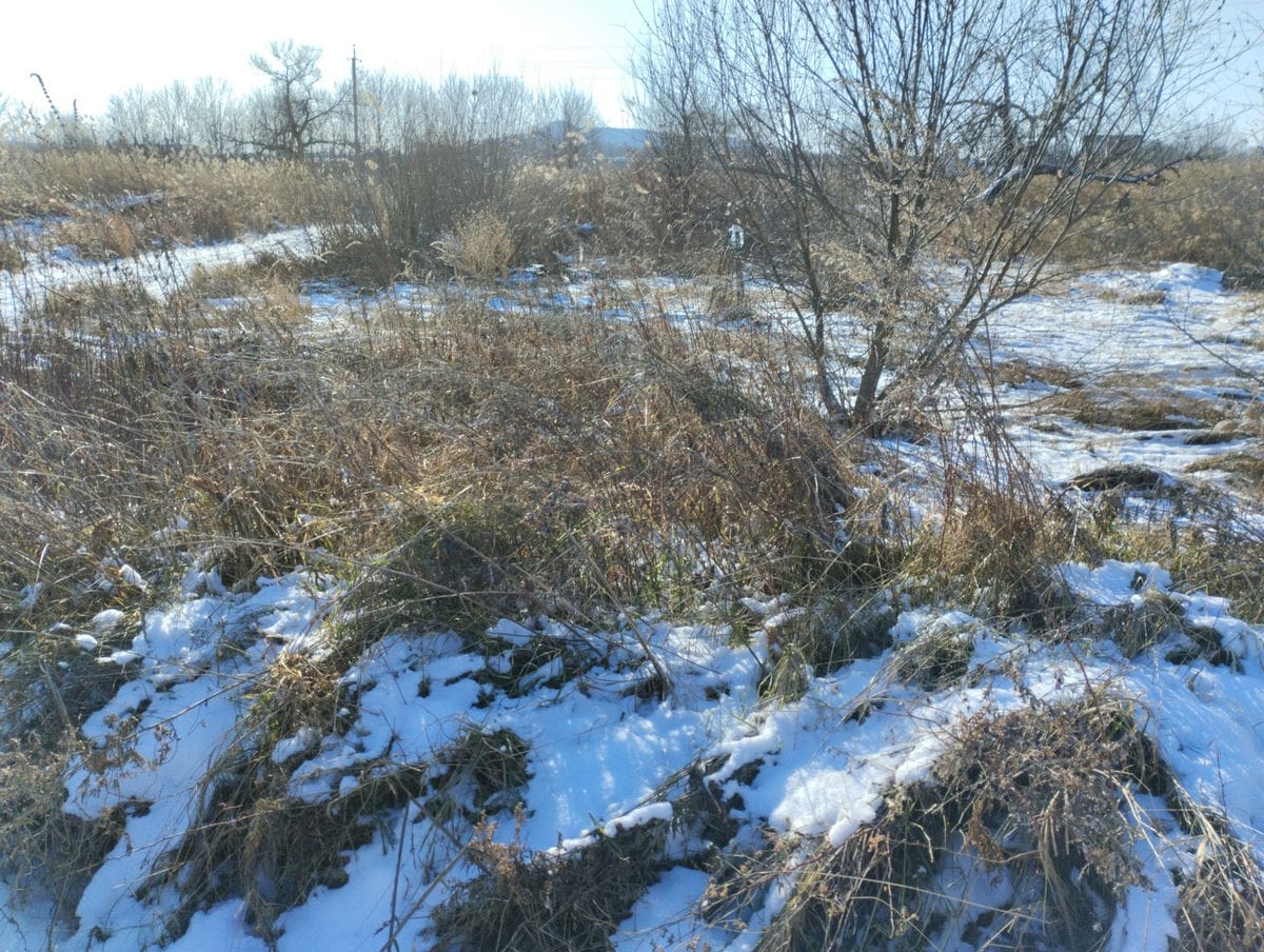 Неизвестно Неизвестно Неизвестно