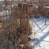 Борисов Степан Константинович