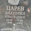 0ca721a8-674c-4557-babf-35e6d8163c10 Царев Анатолий Иванович