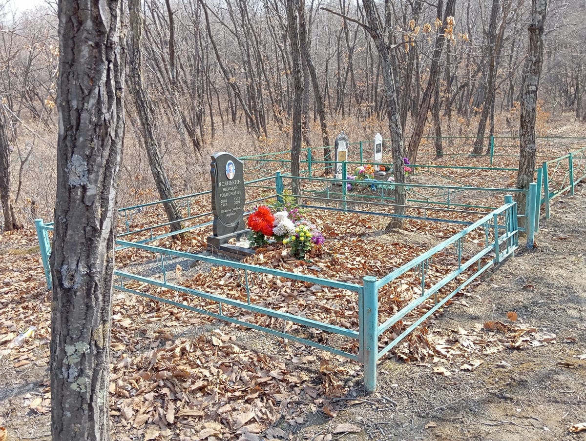 11bd34ea-d9a3-4046-905a-8122b86eb7d1 Ясянькин Николай Родионович