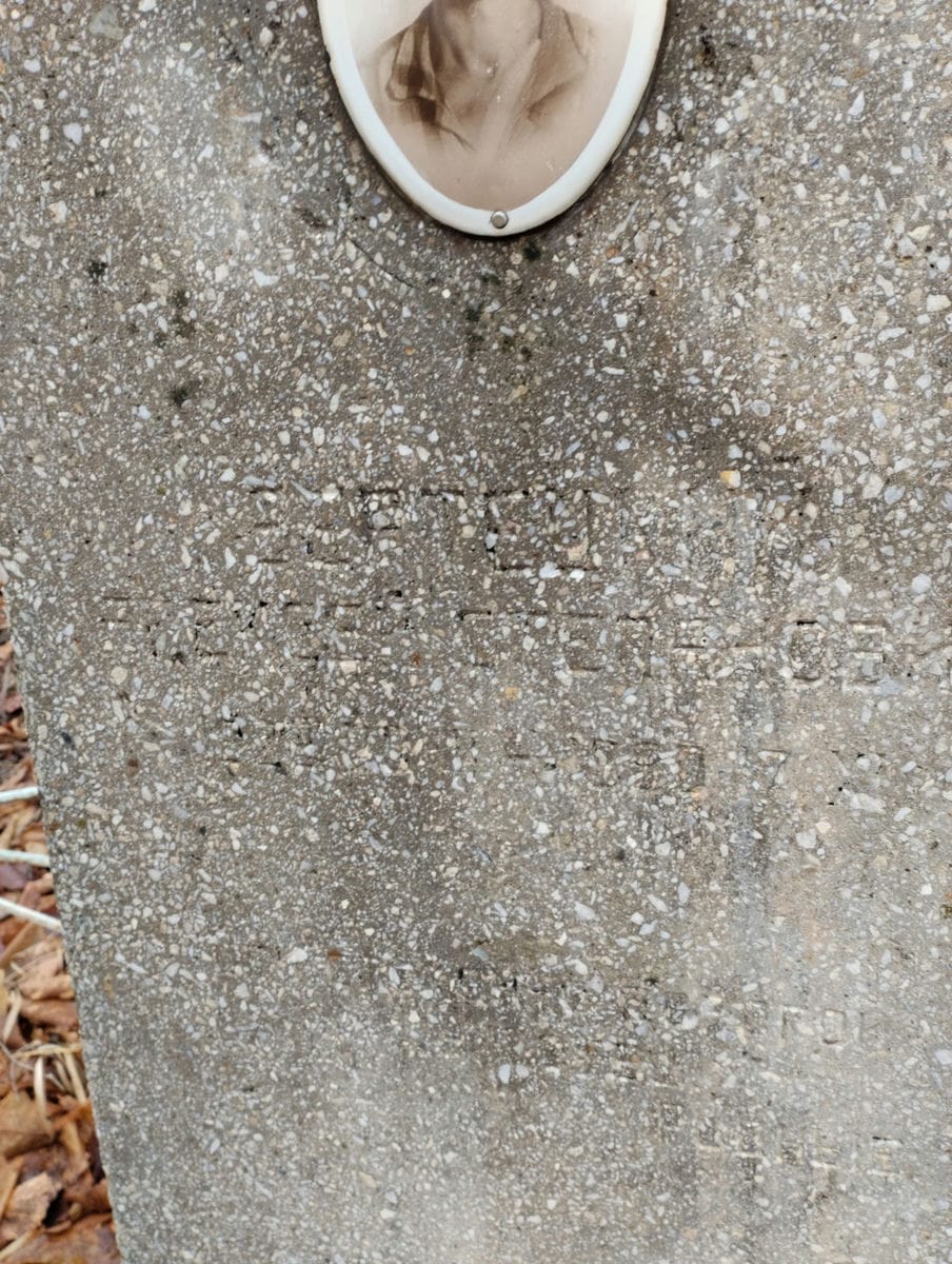 13bd63c5-0570-45e3-8fda-0aeadc4217fd Степашкин Алексей Степанович