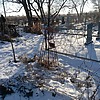 Дон Алексей Хемнович