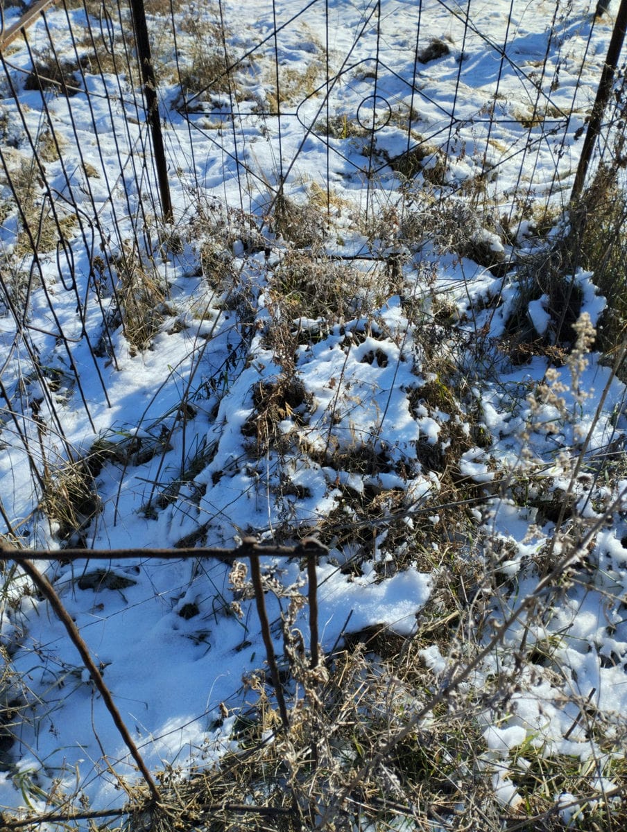 Неизвестно Неизвестно Неизвестно