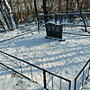 Стародубцева Ксения Даниловна